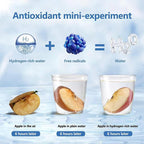 Hydrogen Water Bottle - Portable Hydrogen Water Ionizer Machine for Home Travel, Silver Glass, Rechargeable Hydrogen Rich Water Drinkware Pour Reusable Stainless Steel Modern